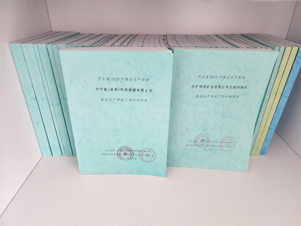 清洁生产审核报告（部分）